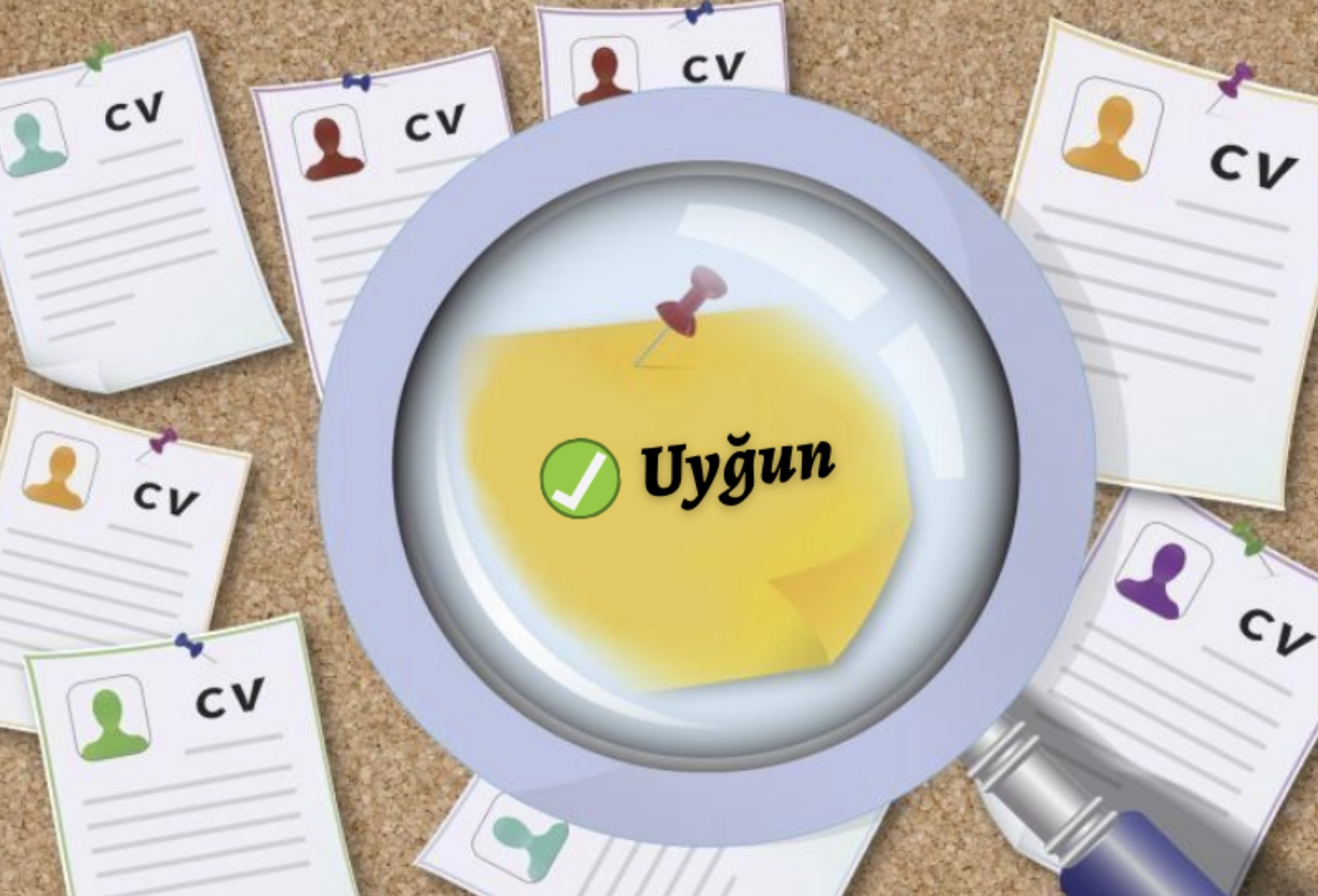 duzgun-cv-nece-tertib-edilmelidir