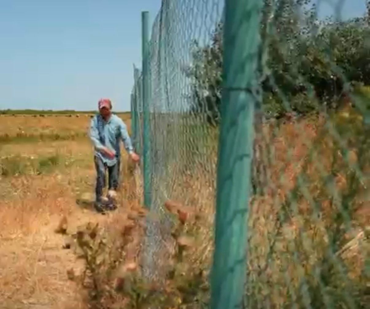 Yol kənarındakı qoruyucu torların zədələnməsi ciddi təhlükə yaradır